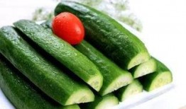 最新黄瓜爆料,揭秘绿色蔬菜背后的秘密与营养